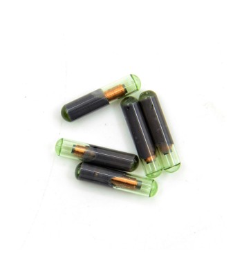Transpondeur ID 48 Vierge
